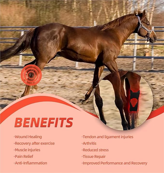 Red Light Therapy for Horses LED Red Light Therapy Device 660nm/850nm Adjustable Mode Red Light Therapy Mat for Horse Wounds and Joint Pain Relief.(4PCS)