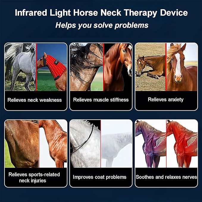 Equine Red Light Therapy Device Horse Muscle Recovery Red Light Therapy Lamp Waterproof Red Light Therapy Pad Built-in Timer 6-Level Dimming 63 * 40CM