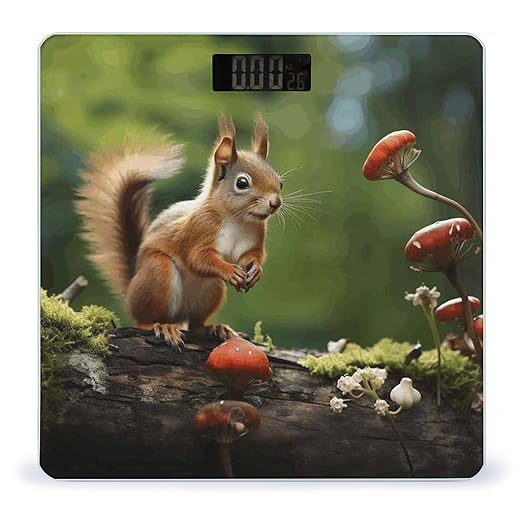 Red Squirrel on Small Green Hill Bathroom Scale Ultra-Bright Liquid Crystal Screen Weight Scale Accurate Bathroom Body Scales for Body Weight Bathroom Pet Home Bedroom Gift-Giving