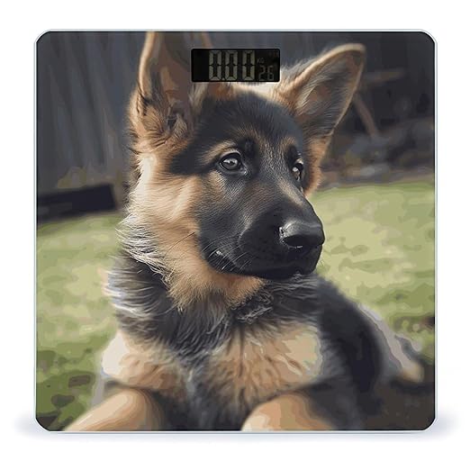 Digital Bathroom Scale for Body Weight Scale with Bright LCD Display High Accuracy Step-On Technology Auto On/Off German Shepherd Puppy Digital Scales 400 Lbs /180kg