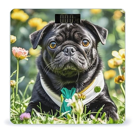 Cute Black Pug Dog Scale for Body Weight Accurate Digital Bathroom Scale Toughened Glass High Precision Scales Smart Weight Scales with Large LCD Backlight Display Weighing Machine