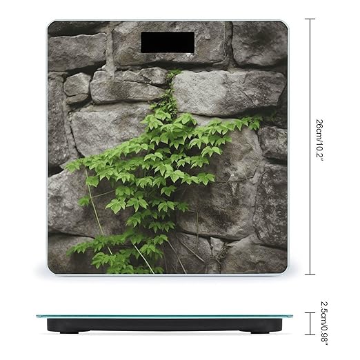 Plant on Stone Wall Scale for Body Weight Anti-Slip Tempered Glass Digital Bathroom Scales Clear LCD Display Weighing Scale Safe Rounded Corners Smart Scales