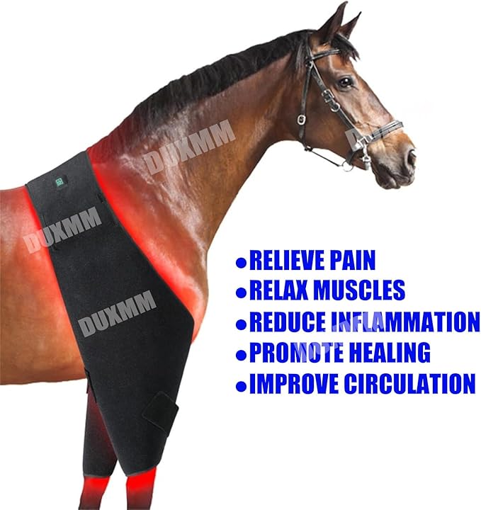 Red Light Therapy DeviceHorse Red Light Therapy EquipmentHorses Red Light Therapy BeltWearable Red Light Therapy Beltsfor Horse Muscle Recovery