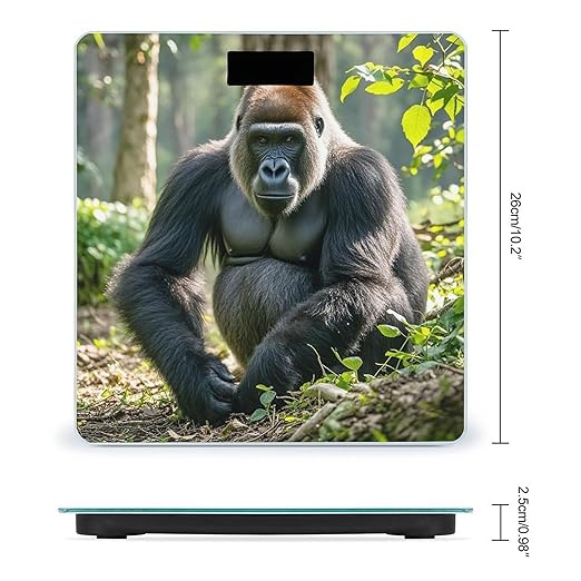 Gorilla on The Ground Bathroom Scale Automatic Power On/Off Body Scales LCD Backlight Display Square Digital Scale Rounded Corners Bathroom Scales for Home Bedrooms
