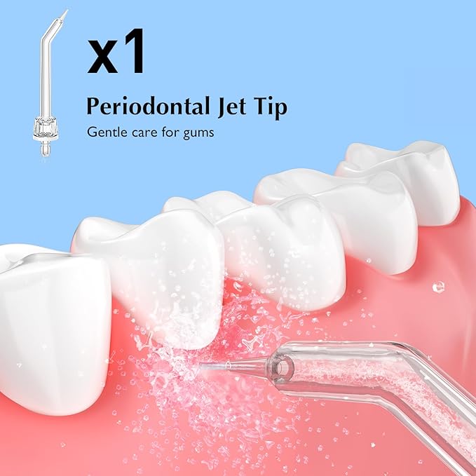Water Dental Flosser Teeth Pick &amp Water Dental Flosser Tip Replacement Heads