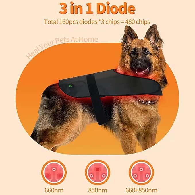 2025 Medium Pet LED Red Light Therapy Device Wearable Infrared Therapy Belt (660nm 850nm) Dual-Wavelength 120° Luminous Angle for Back Abdomen Recovery