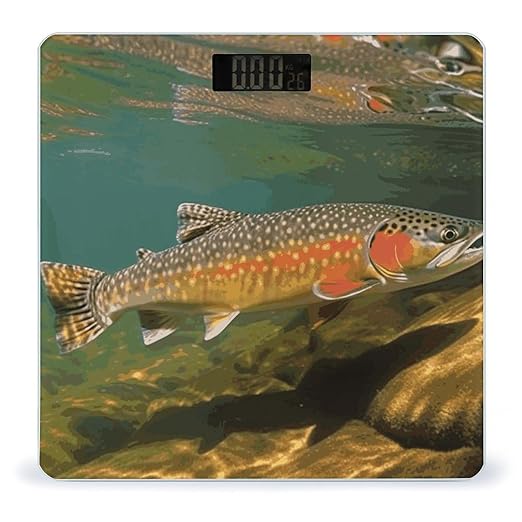 Digital Bathroom Scale for Body Weight Scale with Bright LCD Display High Accuracy Step-On Technology Auto On/Off Brook Trout Fly Fishing Digital Scales 400 Lbs /180kg