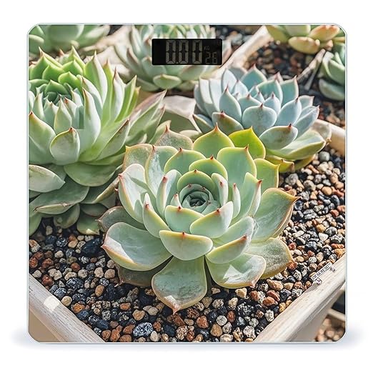 Smiling SucculentsSmiling Succulents Scale for Body Weight Highly Accurate Digital Bathroom Body Scale Digital Bathroom Scales for People Anti-Slip Large LCD Display Smart Scales