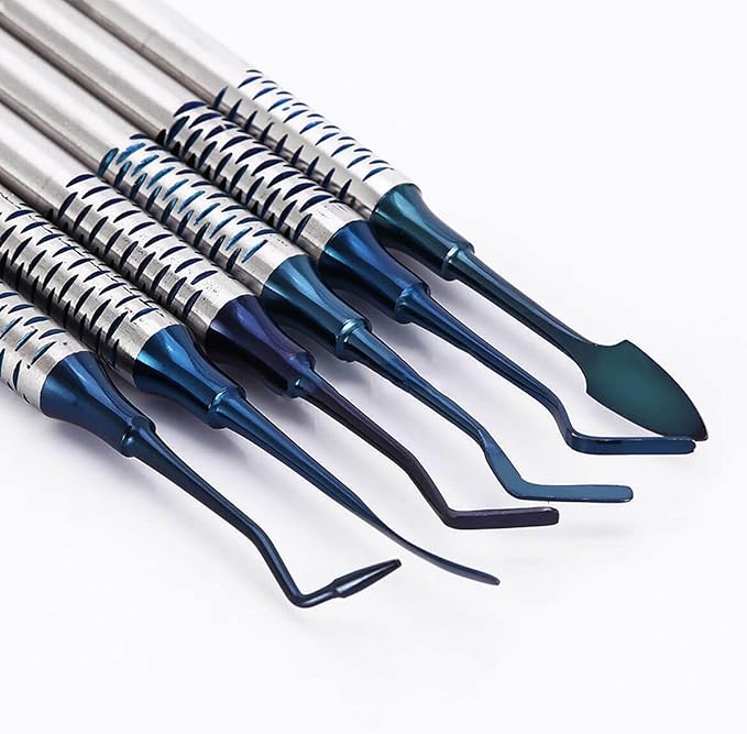 6PCS Dental Tools KitsDental Oral Hygiene Tool KitTooth Pick Stainless Steel Hygiene Dentist Set for Home &amp Oral Use