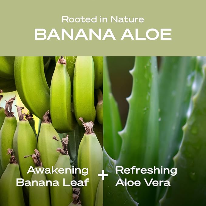 Hey Humans Banana Aloe Moisturizing Body Wash with Natural Ingredients &amp Jojoba Oil | Clean Vegan Sulfate Free Bath &amp Body Wash for Women &amp Men | Recyclable Bottle 14 fl. oz. - Pack of