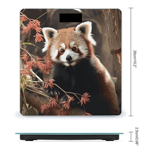 Red Pandas Bathroom Scale Automatic Power On/Off Body Scales LCD Backlight Display Square Digital Scale Rounded Corners Bathroom Scales for Home Bedrooms