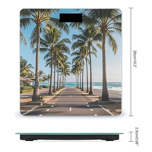 Coastal Highway Scale for Body Weight Smart Scales Digital Bathroom Scale High Precision Weighing Scales with Large Display Weighing Machine for People