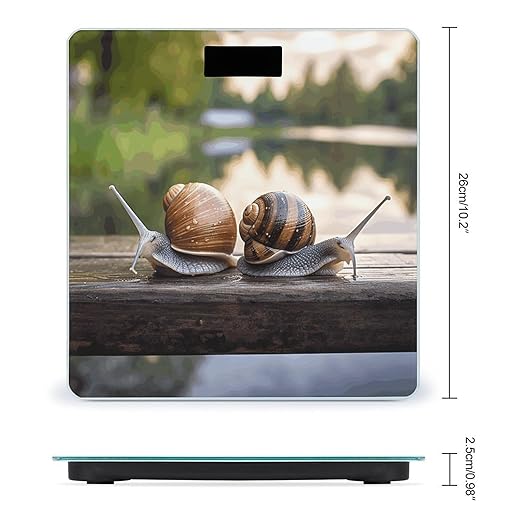 Two Snails on The Bench Bathroom Scale for Body Weight Bathroom Weighing Scale with Backlit LCD Display Highly Accurate Measures Weight Up to 180kg