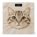 Cute Cat Embroidery Bathroom Scale for Body Weight Bathroom Digital Electronic Weighing Scale with Back Lit LED Display Sturdy Tempered Glass Weight Watchers Scales 400lb
