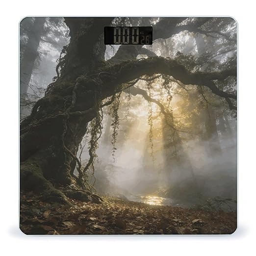 Misty Forest Smart Scale for Body Weight Digital Bathroom Scale Toughened Glass Weight Scale with Large LCD Backlight Display High Precision Scales Weighing Machine