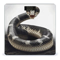 Cobra Snake Scale for Body Weight Safe Rounded Corners Tempered Glass Digital Bathroom Scale LED Display 400lb Capacity Weight Scales with High Precision Sensors