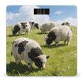 Cute Cows Watercolor Weight ScaleClear LED Display Bathroom Digital Weighing ScaleTempered Glass Digital Bathroom Scale for Body Weight Capacity Up to 400 Lbs