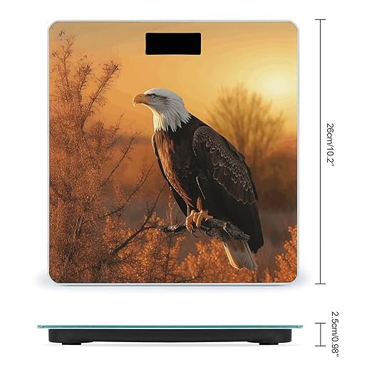 Digital Bathroom Scale for Body Weight Scale with Bright LCD Display High Accuracy Step-On Technology Auto On/Off Golden Sunset Bald Eagle Digital Scales 400 Lbs /180kg