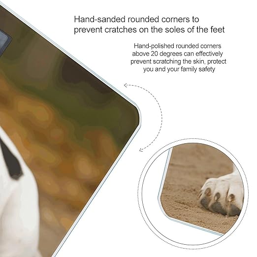 Basset Hound Scale for Body Weight High Precision Digital Weight Scales with LCD Display Anti-Slip Sturdy Slim Tempered Glass Bathroom Scale for Home Use