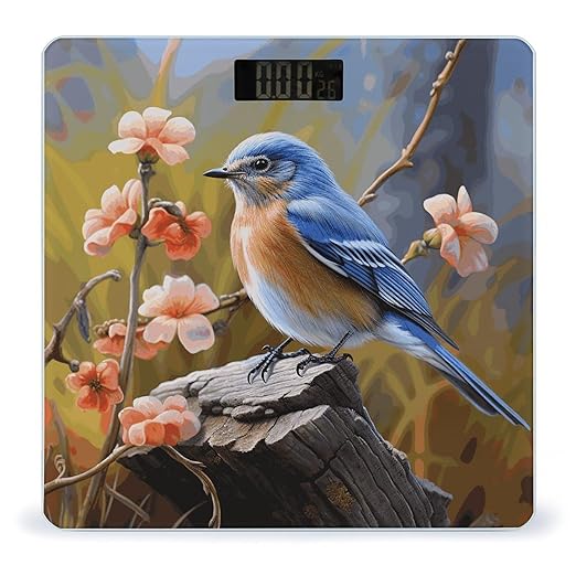 Eastern Bluebird Bathroom Scale Automatic Power On/Off Body Scales LCD Backlight Display Square Digital Scale Rounded Corners Bathroom Scales for Home Bedrooms