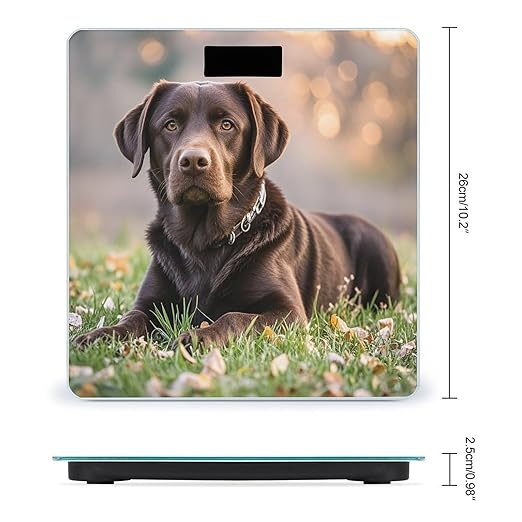 Brown Labrador Retriever Bathroom Scale for Body Weight with High Precision Large LCD Backlight Display Digital Weighing Scale with BMI Capacity Up to 180kg
