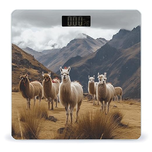 Llamas in The Andes Bathroom Scale Automatic Power On/Off Body Scales LCD Backlight Display Square Digital Scale Rounded Corners Bathroom Scales for Home Bedrooms