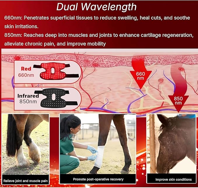 Portable Infrared Light Therapy for Horse Leg Stifle Pain Wearable Infrared Therapy Wrap 660Nm/850Nm for Equine Joint &amp Muscle Recovery
