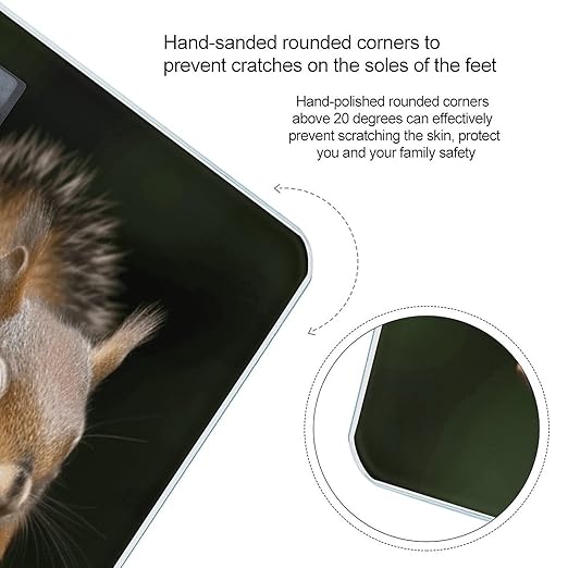 Squirrel Animal Scale for Body Weight Smart Scales Digital Bathroom Scale High Precision Weighing Scales with Large Display Weighing Machine for People