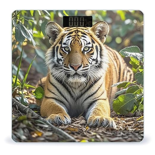 Big Tiger Bathroom Scale for Body Weight with High Precision Large LCD Backlight Display Digital Weighing Scale with BMI Capacity Up to 180kg