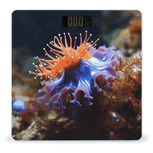 Nudibranch Bathroom Scale Ultra-Bright Liquid Crystal Screen Weight Scale Accurate Bathroom Body Scales for Body Weight Bathroom Pet Home Bedroom Gift-Giving