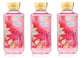 Lot of 3 Bath &amp Body Works Signature Collection Amber Blush Shower Gel 10 Fl Oz Each (Amber Blush)