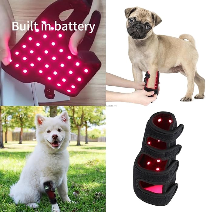 Therapy Device for Pet Vet Infrared Light Therapy for Pet Arthritis Pain Relief Muscle and Joint Pain