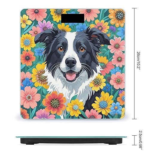 Border Collie Florals Weight Scale Large Digital Bathroom Scales with Bright LED Display Non Slip Digital Scale and Step On Fashion Weighing Machine for Body