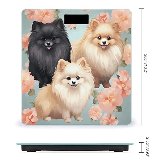 Pomeranians Pattern Bathroom Scale Large LCD Backlight Display Digital Scale Rounded Corners Body Scales Automatic Power On/Off Bathroom Scales for Home Bedrooms