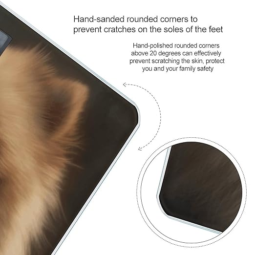Cute Pomeranian Bathroom Scale Large LCD Backlight Display Digital Scale Rounded Corners Body Scales Automatic Power On/Off Bathroom Scales for Home Bedrooms