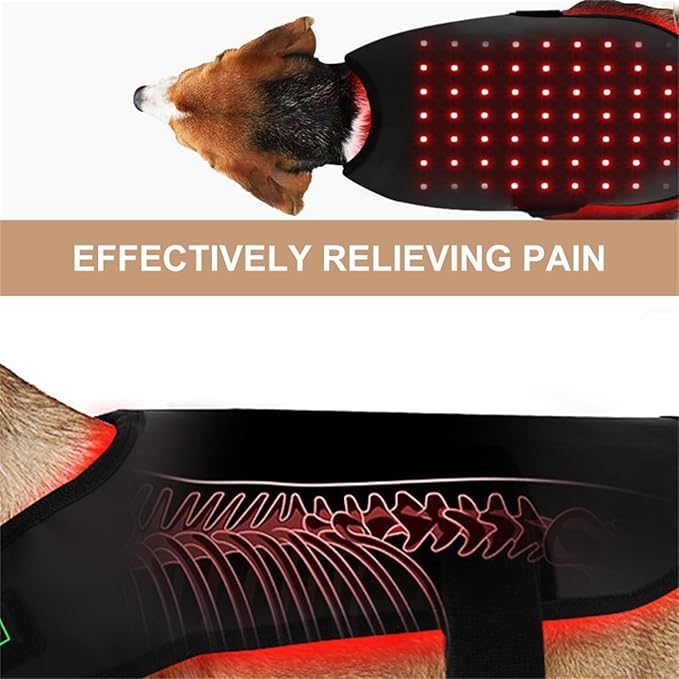 LED Red Light Therapy Device for Dog Pets Near Infrared Therapy Wrap Portable Deep Light Therapy for Dog Muscle Recovery