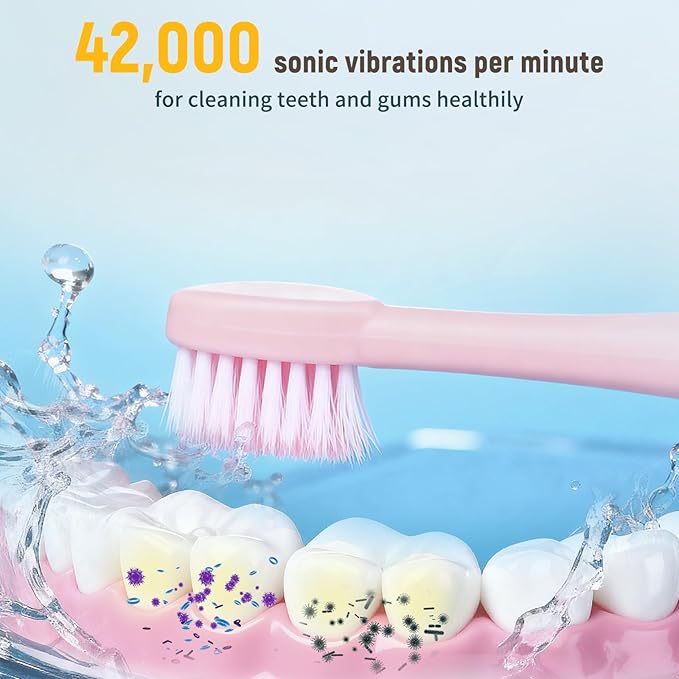 12 Pack Adult Electric Toothbrush Rechargeable Sonic Electric Toothbrush with 4 Brush Heads 6 Modes Timer Function IPX7 Waterproof 3 Colors Available