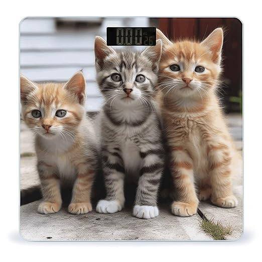 Kittens Family Cats Digital Bathroom Scale for Body Weight Weighing Scale with Backlit LCD Display High Precision Measurements &amp Measures Weight Up to 180kg