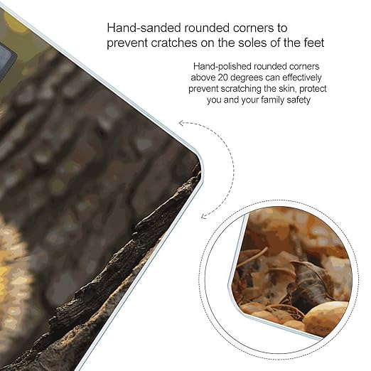 Cute Squirrel Eating Nuts Bathroom Scale for Body Weight Bathroom Weighing Scale with Backlit LCD Display Highly Accurate Measures Weight Up to 180kg