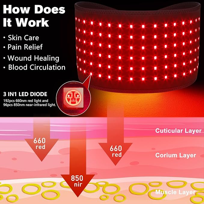 Corded New Therapy Belt (Plug Needed) + D MAX Cordless Red Light Therapy Belt (with Battery Controller)