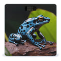 Dart Frog Blue Bathroom Scale Large LCD Backlight Display Digital Scale Rounded Corners Body Scales Automatic Power On/Off Bathroom Scales for Home Bedrooms