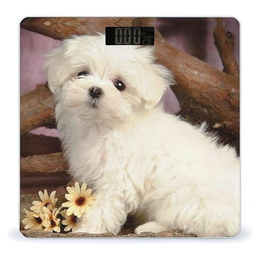 Cute Dog Scale for Body Weight Anti-Slip Sturdy Tempered Glass Weighing Machine Highly Digital Accurate Bright LCD Bathroom Scale for Household Gift