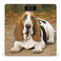 Basset Hound Weight Scale for Body Weight Digital Bathroom Scale High Capacity Accurate Digital Weighing Scales and Easy-to-Read on Backlit LCD Display Scales