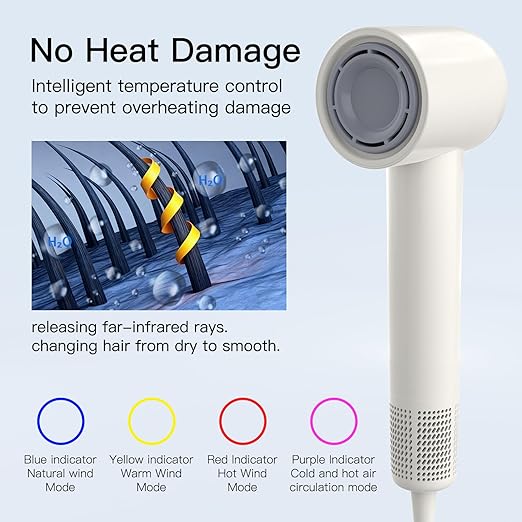 MEGAWISE Professional Ionic Hair Dryer with Diffuser High-Speed Ionic Low Noise Blow Dryer for Fast Drying 4 Temps/2 Speeds Lightweight Hairdryer with Concentrator Nozzle for Home Travel