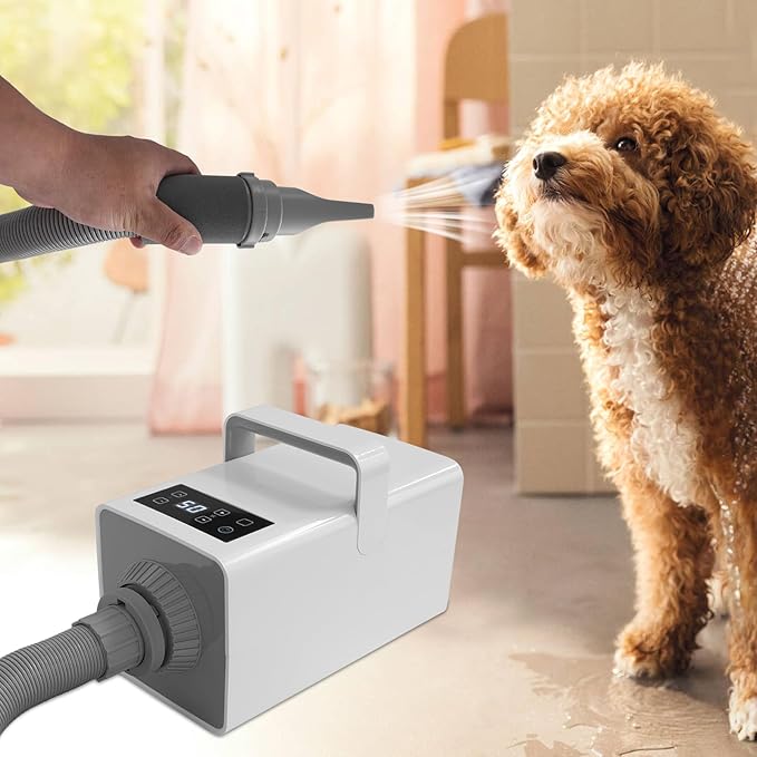 White Pet Hair Dryer 3-Heat Adjustable Dog Cat Grooming Blower Quiet 2-Speed Motor with 4 Snap-On Nozzles Lightweight Home Drying Machine for Small to Large Dogs 110 V 10 ft Hose