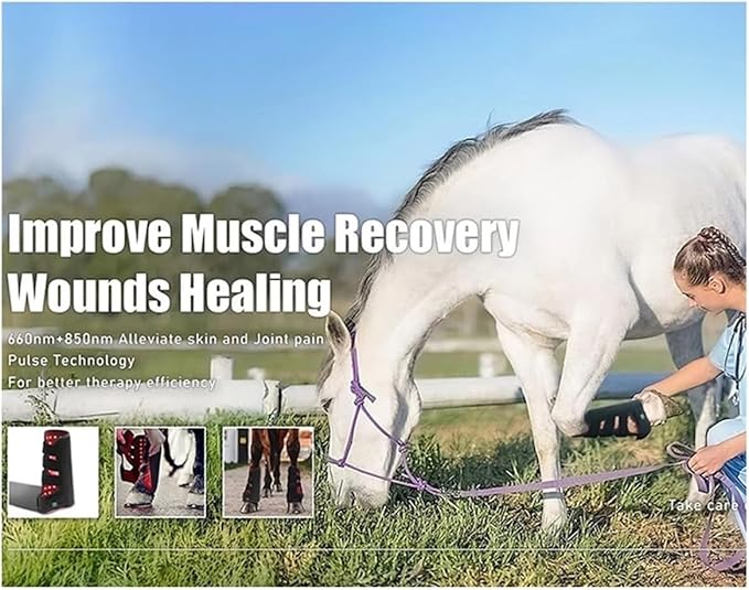 LED Red Light Therapy Device for Horse Leg Pain Red Light Therapy for Horses Deep Light Therapy for Horse Leg Muscle Pull Wound Recovery(Right)