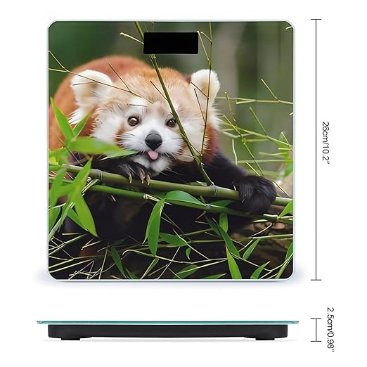 Little Red Panda Scale for Body Weight Anti-Slip Sturdy Tempered Glass Weighing Machine Highly Digital Accurate Bright LCD Bathroom Scale for Household Gift