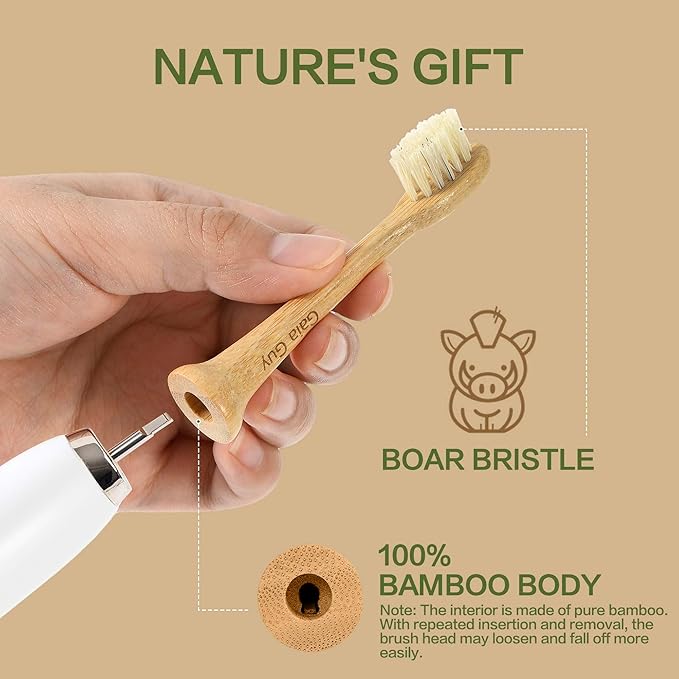 Gaia Guy Natural Bamboo &amp Boar Bristle Electric Toothbrush Head 4-Pack | Compatible with Philips Sonicare | Truly Biodegradable (No Hidden PLA &amp No Nylon) for an Eco-Friendly Clean
