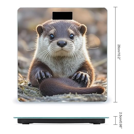 Cute Otter Bathroom Scale Automatic Power On/Off Body Scales LCD Backlight Display Square Digital Scale Rounded Corners Bathroom Scales for Home Bedrooms