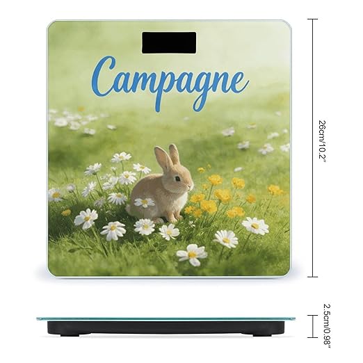 Campagne Smart Scale for Body Weight Digital Bathroom Scale Toughened Glass Weight Scale with Large LCD Backlight Display High Precision Scales Weighing Machine